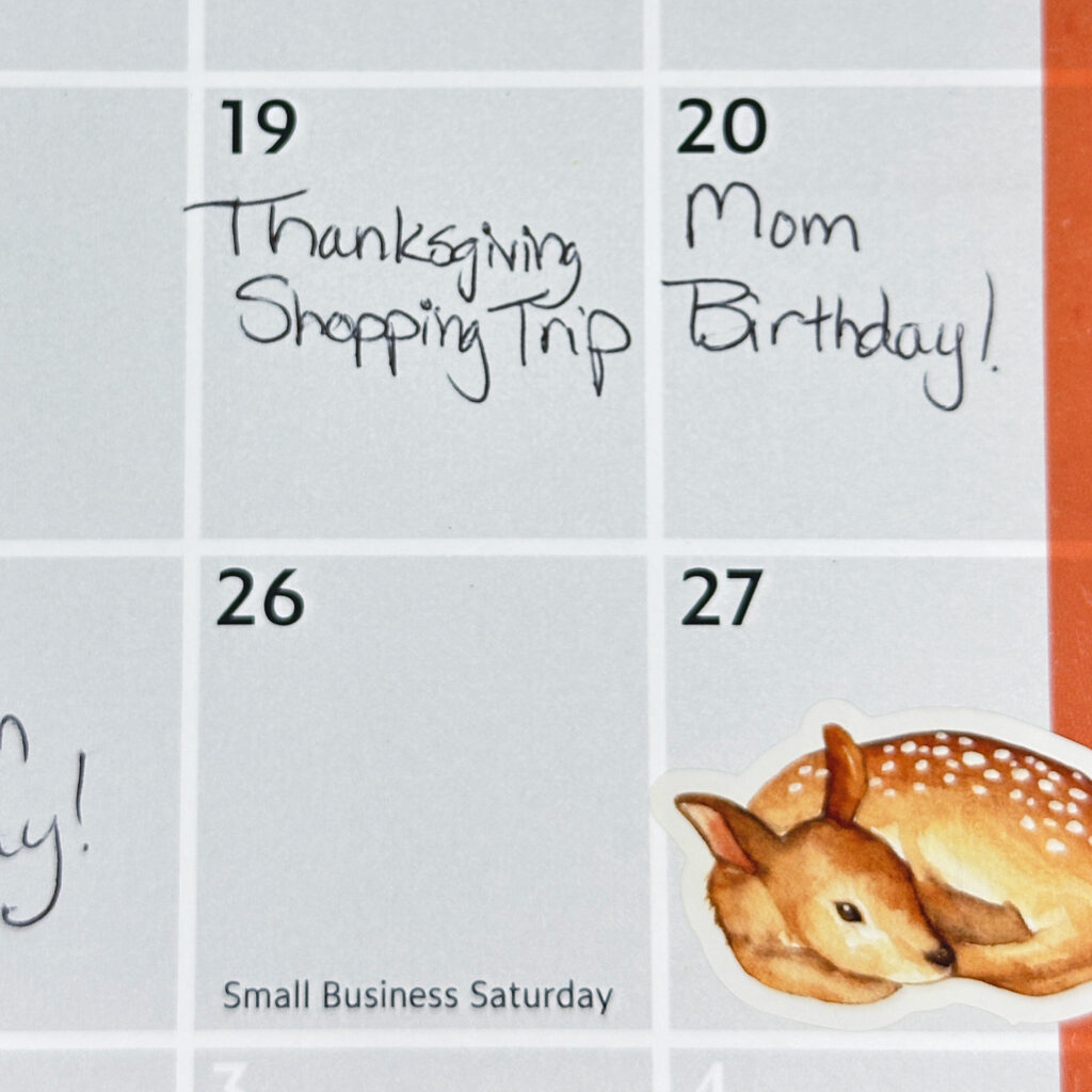 "Thanksgiving shopping trip" written on a Knitter's Planner Calendar